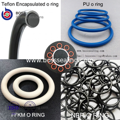 Porcelana El anillo o encapsulado, PFA encapsuló el silicón O RingFEP encapsuló el anillo o de FPM proveedor