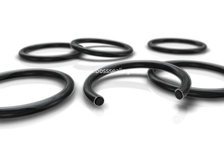 El anillo o encapsulado, PTFE encapsuló el anillo o del silicón, encapsuló el anillo o de FKM/FPM proveedor