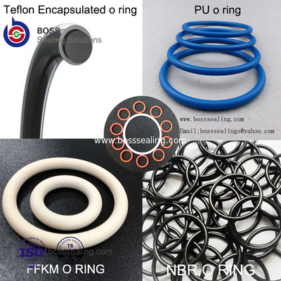 El anillo o encapsulado, PFA encapsuló el silicón O RingFEP encapsuló el anillo o de FPM proveedor